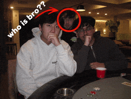 Who Is Bro GIF