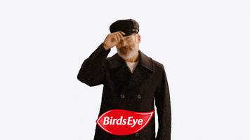 Happy The Captain GIF by Birds Eye UK