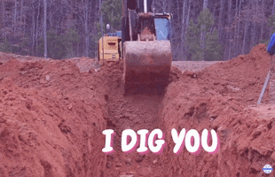 Grading Valentines Day GIF by JC Property Professionals
