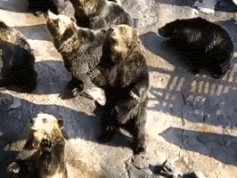 yupgr3dgemvrdxdr  GIF