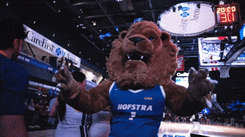New York Basketball GIF by Hofstra University