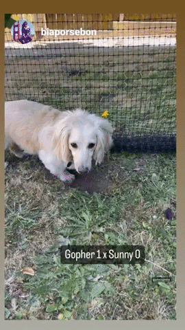 jrhomeremodeling GIF