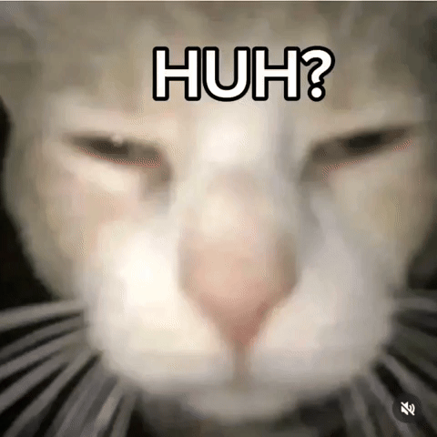 Confused Cat GIF