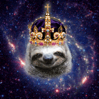 Space Crown GIF by omgslothsinspace