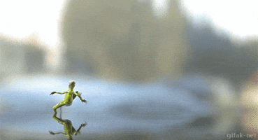 Wildlife gif. Green lizard hobbles across a liquid surface, waving its arms, flopping its feet, and splashing water with each step.