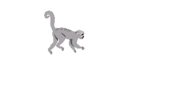 Monkey Cala Felice Sticker by Cala Felice Beach Club