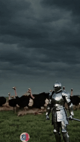 Cat Coffee GIF by Knightmare