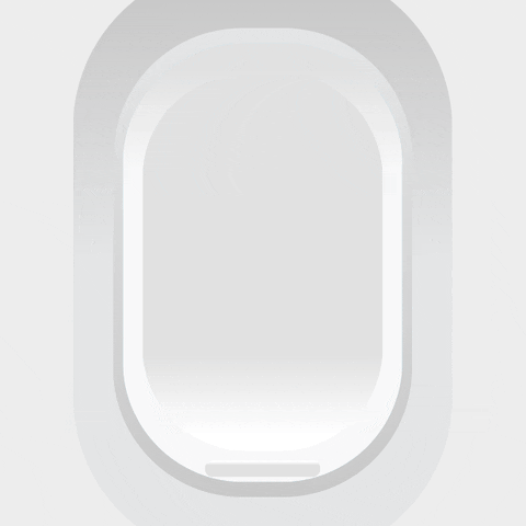 Window Swa GIF by Southwest Airlines