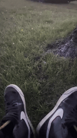 Volkswagen GIF