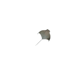 Heart Ocean Sticker by Blue Zoo Aquariums