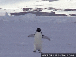 Walking GIFs - Find & Share on GIPHY