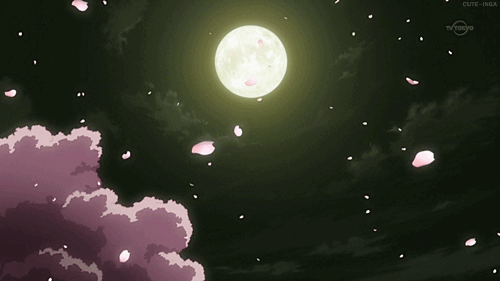Sol o luna