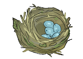 Vogelnest Sticker by Naturschule fernundaktiv