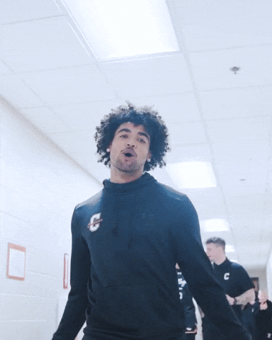 College Of Charleston Cougars GIF by Charleston Basketball