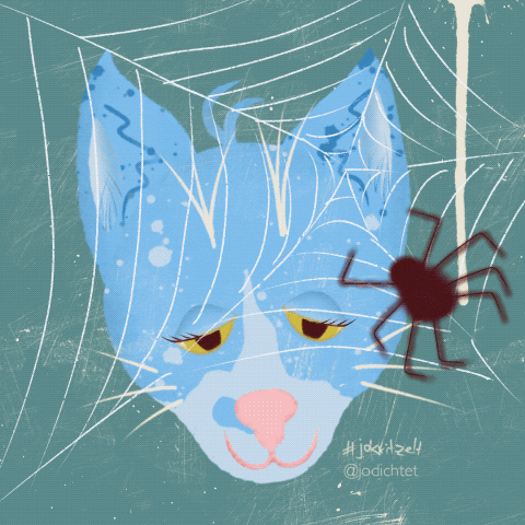Cat GIF