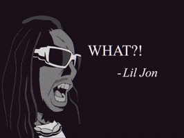 Lil Jon What GIF
