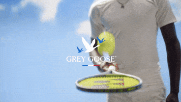 Serve Us Open GIF by GREY GOOSE® Vodka