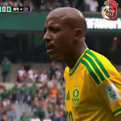 World Cup Football GIF
