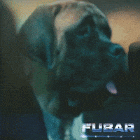 War Dogs GIF by HaZimation