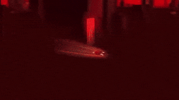 Omni GIF