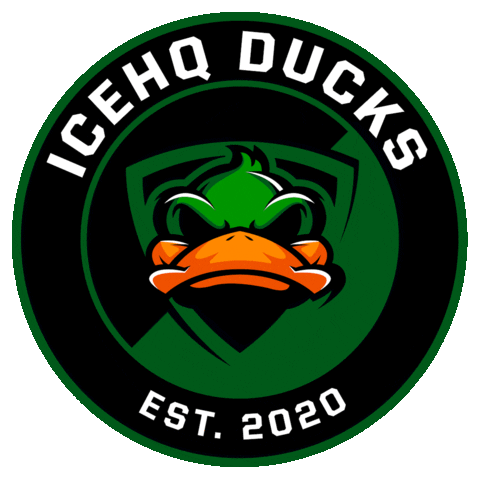 Ice Hockey Melbourne Sticker by icehq