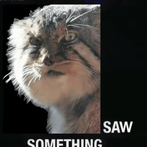 Destruction Deserve GIF