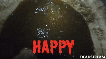 Explode Happy Birthday GIF by Deadstream