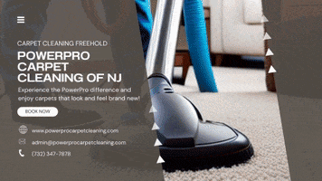 Carpet Cleaning Freehold Nj GIF