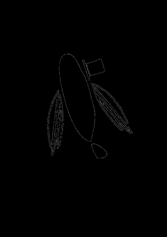 in the flight.inc GIF