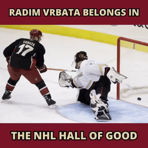 Arizona Coyotes GIF