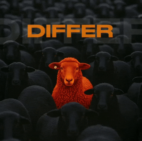 Differ Clothing Brand GIF