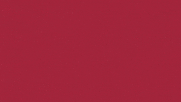 Charroslmb2025 GIF by Charros de Jalisco