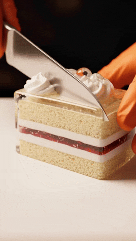 Trending Vibe GIF by Darwin