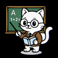 chat-prof-mimscats-FciHf7qMiYY3e3aOxp