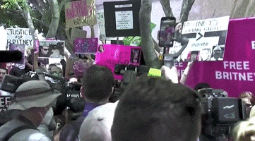 Rally Freebritney GIF by GIPHY News
