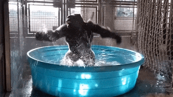Dance GIF