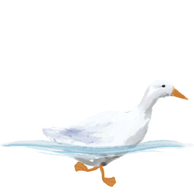 Maçakızı Sticker