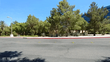 Drive Slow Ford GIF by Off The Jacks