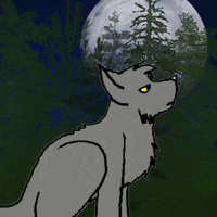 Howling Wolf GIFs - Find & Share on GIPHY