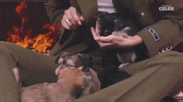 Zendaya GIF by BuzzFeed