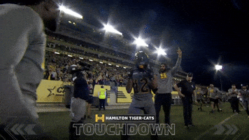 Tiger-Cats Touchdown GIF by Hamilton Sports Group