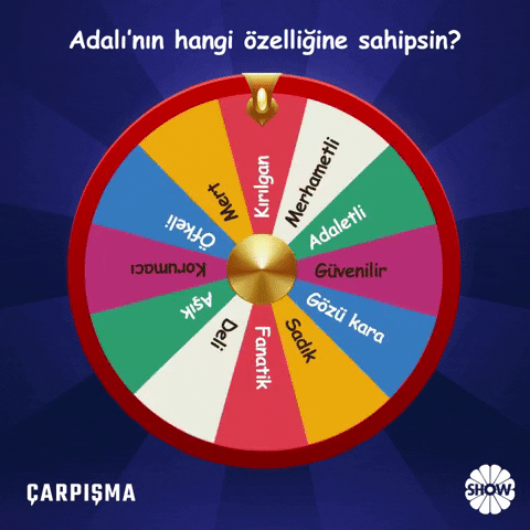 Carpisma #Showtv #Kadiradali GIF by Show TV