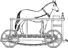 TrillendeHand car horse transport pferd GIF