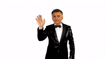 Mister Serrone GIF