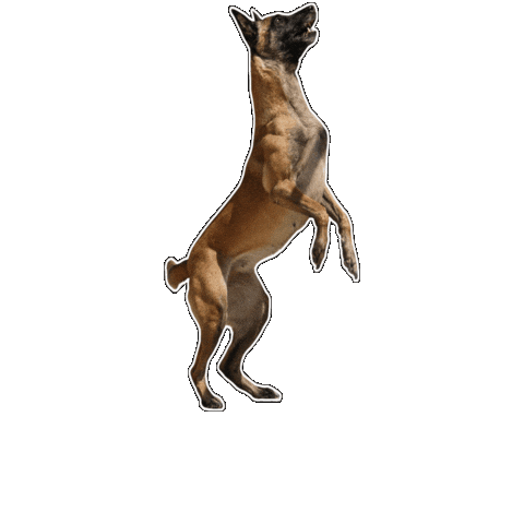 Rettungshund Sticker by Österreichische Rettungshundebrigade