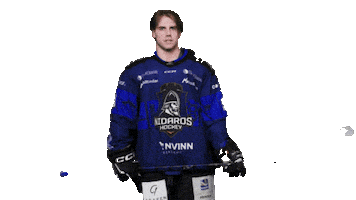 Happy Ice Hockey Sticker by Nidaros Hockey