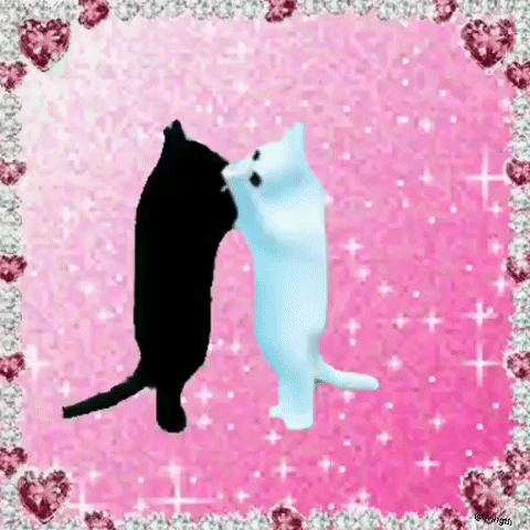 White Cat GIF