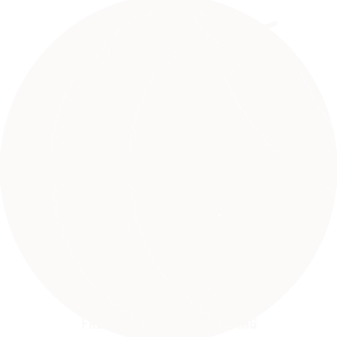 Plankenreiter GIF