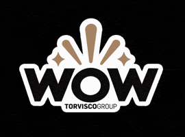 Wow GIF by Torvisco Group