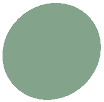 Color Sticker